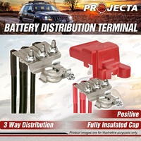 Projecta Battery Distribution Terminal Positive + Negative Premium Quality