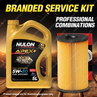 Ryco Oil Filter 5L APX5W30A5 Engine Oil Service Kit for Ford Territory SZ II