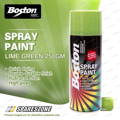 1 x Boston Lime Green Spray Paint Can 250 Gram Quick Drying Rust Protection