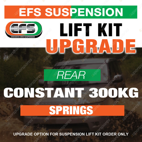 Upgrade Option - Rear Heavy Duty Springs (Constant 300kg) Purchase with Lift Kit