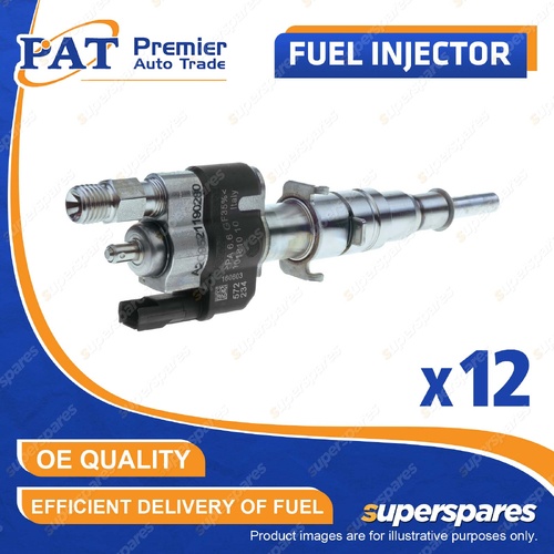12 Pcs PAT Fuel Injectors for BMW 760Li F02 6.0L N74B60 V12 48V 2008-2015