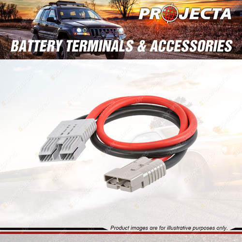 Projecta Adaptor Kit Suit Industrial 12V / 24V Lithium Jump Starter