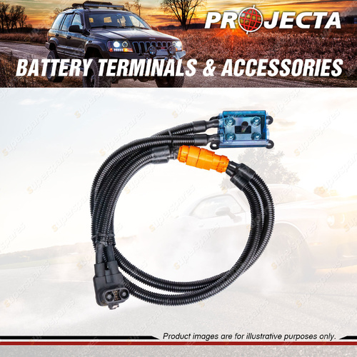 Projecta Negative Battery Cable 1.2m Suit 12V Chassis Mount Lithium Battery