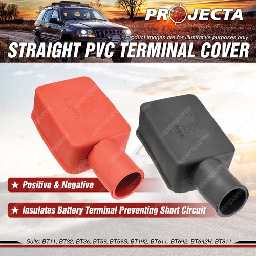 Projecta Straight PVC Terminal Cover Positive and negative Blister of 2