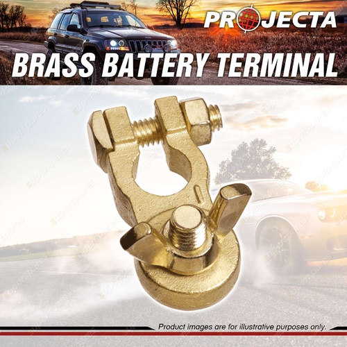 Projecta 3/8" 10mm Brass Battery Terminal Negative Heavy Duty Wingnut Blister 1