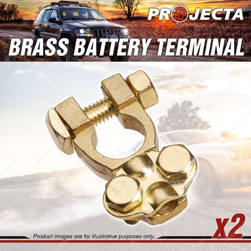 Projecta Brass Saddle Battery Terminal - Saddle Blister of 2 Premium Quality