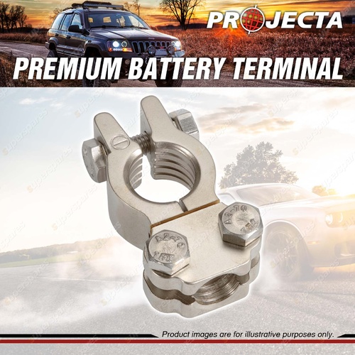 Projecta Satin Forged Brass H D Saddle Battery Terminal - Negative