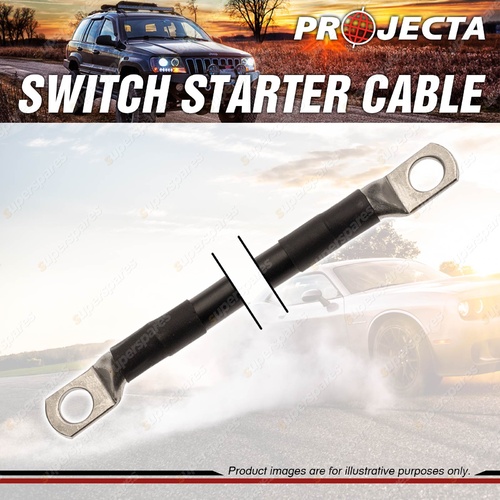 Projecta Switch Starter 250mm Length Cable 2 B & S 35mm X 35mm Premium Quality