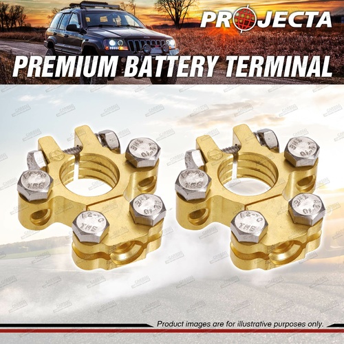 Projecta Battery Terminal Pisitive + N Forged Brass Saddle with Dual Auxiliary