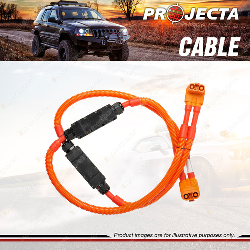 Projecta Positive Parallel Battery Cable to Suit 210Ah & 420Ah Lithium Battery